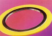 Flexitallic Spiral Wound 
Gasket Style CG